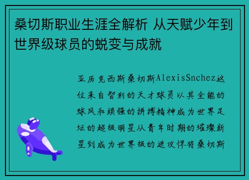 桑切斯职业生涯全解析 从天赋少年到世界级球员的蜕变与成就