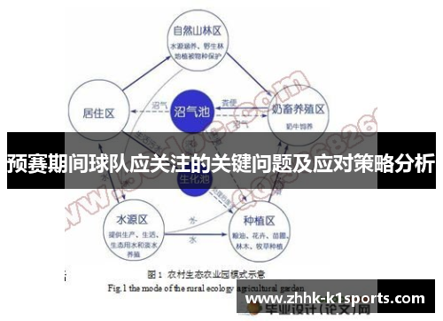预赛期间球队应关注的关键问题及应对策略分析